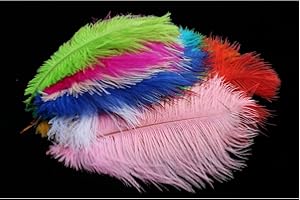 Tigofly Ostrich Feathers, 13 Colours, Dyed, Fluffy, for Fly Fishing, Thorax Collar, Fly Fishing, Tieing, 13 Pieces