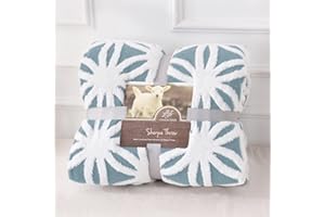 AHERKLL Sherpa Fleece Blanket, Double Sided Soft Warm Thick Winter Throw Blankets, Reversible Cosy Fluffy Snuggly Blanket for Bed Sofa Chairs, Versatile Large Blankets, Sky-Blue, Single(130x160cm)
