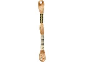 MERCERIA POUR TOI... Filo da ricamo Moulinè Spècial DMC matassina 100% cotone ricamo punto croce vari colori (MARRONE, 437)