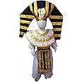 BookMyCostume Egyptian Pharoah King Tutankhamun International World Costume | Premium 6-7 years