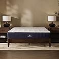 DreamCloud Hybrid King Mattress 25 cm - Medium-Firm Memory Foam - Reinforced Edge Pocket Springs - Quilted Top - 365 Night Trial - Forever Warranty