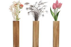 HENGBIRD Nowoczesne drewniane doniczki ścienne do roślin, dekoracja wnętrz, 2,5 x 5,6 x 29,5 cm, do suszonych kwiatów
