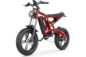 BEWELL Mountain-Ebikes for Adults Electric-Dirt-Bike - with 48V 15Ah Battery 20"x4" Fat Tires E Bicycle for Unisex