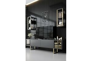 Dmora Mobile Porta TV Eunomia, Credenza da Soggiorno, Armadio Basso per TV, Base Parete attrezzata, 180x30h48 cm, Antracite e Oro