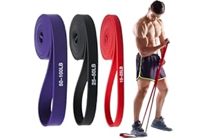 JATEKA Elastici Fitness, 15-100LB Elastici Palestra, 100% Lattice Elastico Fitness, Elastico Palestra Pilates Yoga Powerlifting Crossfit Uomini Donne