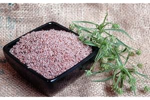 Naturix24 – Loppfrön indisk hel – 500 g påse
