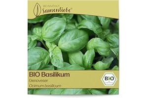 Samenliebe BIO Basilikum Samen alte Sorte Genoveser italienische Kräuter großblättriges Küchenkräuter 500 Samen samenfestes Kräuter Saatgut für Küche, Balkon und Garten BIO Kräutersamen