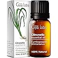 Gya Labs Citronella Oil for Candle Making - Undiluted Citronella Essential Oil for Diffuser & Aromatherapy - 100% Therapeutic Grade Pure Essential Oil Citronella for Skin (10ml)