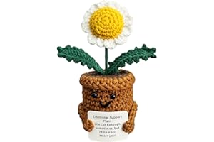KIAYOO Regalo Margherita, Decorazioni da Scrivania per Casa e Ufficio,Positive Fiori all'Uncinetto Regalo per Lui Lei Uomini Donne Amici Fidanzato Compleanno Natale San Valentino
