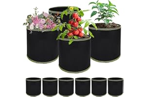 LUMOOM Lot de 10 sacs de plantation pour tomates, pommes de terre, 4 l, très résistants, en tissu épais, 1 gallon, réutilisables, pour légumes, fraises, fleurs (18 x 15 cm)