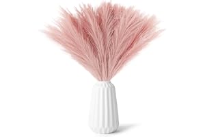 WEKUW 30 Pezzi Pampas Decorative,Piume Decorative Fiori Secchi Decorativi,Piume Decorative per Vaso,Fiori Secchi Decorativi per Vaso per Arredamento Casa Arredamento Boho Matrimonio (Rosa)