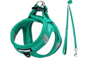 UVTQSSP Hundegeschirr Kleine Hunde Grün Gepolstert, Welpengeschirr, Dog Harness Geschirr Hunde Klein S