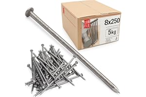 Lun Fix Perni 8 x 250 mm – 5 kg (circa 50 pezzi) chiodi in legno per lavori di costruzione, chiodi da costruzione non zincati, chiodi in acciaio da 10", lunghezza 250 mm, testa svasata