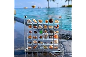 Biglumin Scatola acrilica - espositore in acrilico magnetica a 36 scomparti, scatola di visualizzazione conchiglia, scatola per raccolta di conchiglie conchiglie espositore.(trasparente)