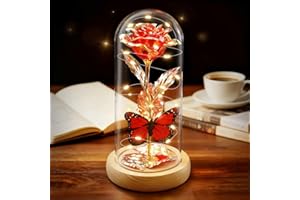 ADAZ Regali per donne, rosa eterna in vetro con luce LED, regalo per la festa della mamma La bella e la bestia rosa regalo per fidanzata, moglie, anniversario, Natale, San Valentino
