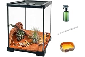 KAKOOTI Reptile Glass Terrarium kit，8"x8"x12"Terrarium Enclosure Amphibians Tank Cage with Magnetic Sliding Door for Small Reptiles, Amphibians and Invertebrates.