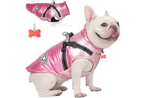 TVMALL Manteaux d'hiver pour Chiens avec Harnais Sport en Plein air Gilet de Vêtements Manteau Chien Veste Combinaison de Ski Temps Froid Vêtements pour Animaux pour Chiens de Taille Moyenne et Petite, S