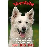 Metall-Warnschild Großer Schweizer Sennenhund | Hundeschild Aluminium | 30,5 X 20 Cm | Personalisierbar Mit Löchern