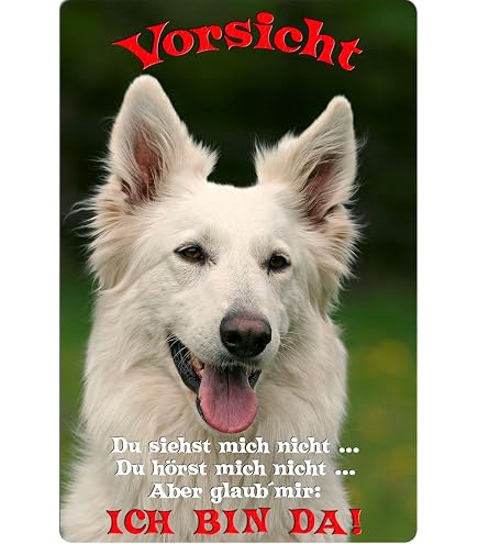 PODHALANER Metall-Warnschild „Hund“ – Aluminium-Schild 30,5 X 20 Cm (A4), 0,5 Mm Stark, Mit Abgerundeten Ecken