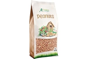 HUNGRY WINGS Premium Wild Bird Food 5L Refill, (5L Bag, Peanuts) (Packing may vary)