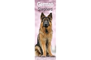 German Shepherd Slim 2026 Calendar | Slimline Wall Calendar | Dog Breed Gift | Plastic Free Packaging | by Avonside Publishing