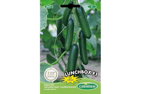 Germisem graines Concombre Snack LUNCHBOX F1