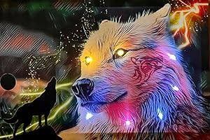 Samarkand - Lights LED Bild mit Beleuchtung LED - Bilder Leinwandbild Leuchtbild Wandbild mit Beleuchtung WOLF/BUNT