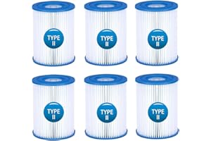 DIFCUL Pool Filter for Bestway Flowclear Type II Filter Cartridge,Type 2 Swimming Pool and Spa Filter,Pool Cleaning Filter,6 Filters