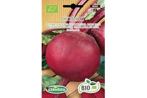 Germisem Biologico Detroit Semi di Barbabietola 4 g