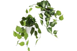 MIGUBIGU Set di 2 Piante Finte Artificiale 45CM, Piante Finte Altamente Realistico con Bianca Plastica Vasi, Pianta di Splitphilo Tropicale Interno Esterno per Balcone, Camera da Letto Deko