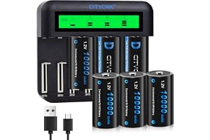 CITYORK Laddare med uppladdningsbara batterier D 10 000 mAh 1,2 V Ni-MH, laddare för AA/AAA/C/D-batteri, 6-pack