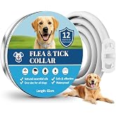 BoYata Collar Antiparasitario Perros, 12 Meses de Protecci&oacute;n Prolongada | 65cm Ajustable, Impermeable, Collar Antipulgas y Ga