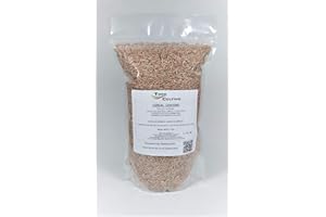 TODOCULTIVO Centeno para sembrar tratado. Envase de1 Kg. Plantación de noviembre a enero. Utilizado tanto para grano como para pasto.