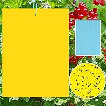 40 Pièges Collants Jaunes Double Face 20x15 Cm - Anti-mouches, Pucerons, Aleurodes Pour Plantes D'intérieur Et Jardin