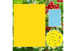 SUNSHINE SMILE 40 Gelbtafeln Klebrige Insektenfallen,KirschmadenFalle,Gelbstecker Papiere für Raupenleim,Gegen Trauermücken,Blattläuse,Nematoden, weiße Fliegen und Minierfliegen,Premium Gelbsticker Fliegenfalle