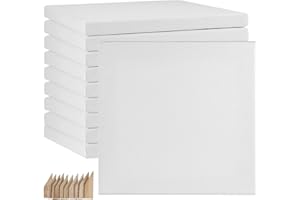 HAKZEON 10 Pack 20 x 20 cm Stretched Blank Square Canvas, Artist Blank Canvas Frame Stretcher with 80 Tightening Keys, White Stretched Canvas for Acrylic Painting, Oil Painting, Wet and Dry Art Media