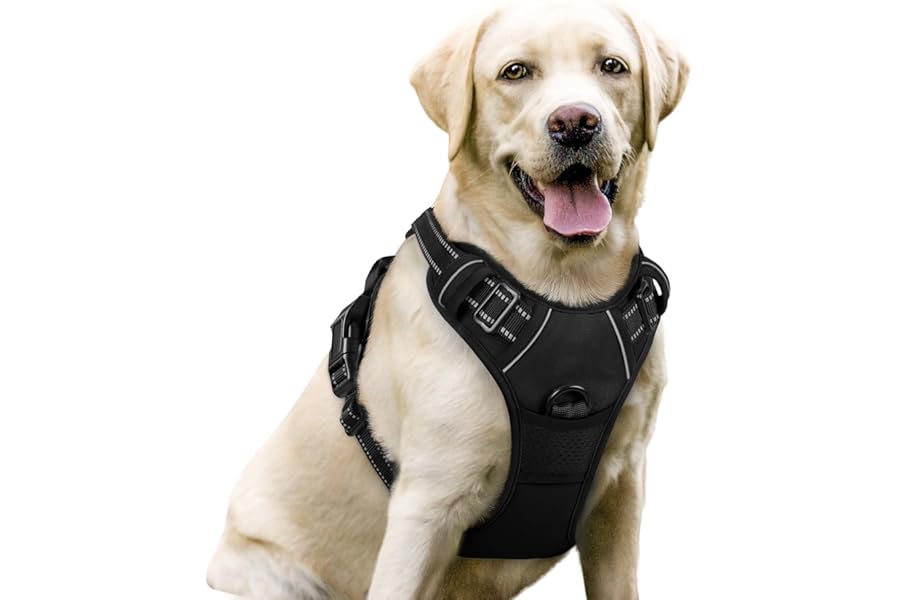 rabbitgoo Dog Harness Large Dog No Pull Pet Harness with 2 Leash Clips, Adjustable Soft Padded Pet Vest, Reflective No-Choke with Easy Control Handle for Training or Walking, Black, L