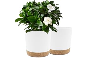 QCQHDU Lot de 2 Pots de Plantes 25.4cm, Pots pour Plantes d'intérieur avec Trous de Drainage et Base Amovible, Soucoupe décorative Moderne pour jardinières d'extérieur (Blanc 25.4cm)