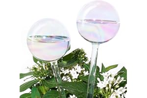 Tomorotec Selbstbewässernde Glühbirnen, automatische Pflanzenbewässerungskugeln, leicht schillernder Regenbogen-Farbverlauf, klares Glas, selbstbewässerndes System, 2 Stück