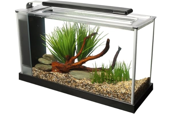 Fluval Aquarium Spec V 19 L Noir