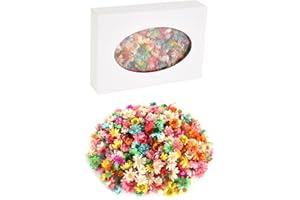 DECORDWELL 200 Stück Getrocknete Blumen Köpfe, Trockenblumen Klein Gänseblümchen, Brasilianische Kleine Stern, Natürliche Getrocknete Blumen, für Kartendekoration, Kerze, Scrapbooking, DIY-Harz (B)