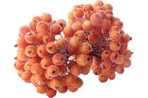 KKSTY 200 Pcs/100 Wired Berries Stems Artificial Frosted Berries Christmas Holly Berries Mini Fruits for Xmas Tree Decoration Wreath Garland Making Supplies… (Orange)