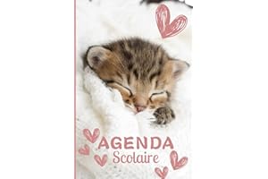 Agenda scolaire 2023 2024: Chat, Chatons | 1 page par jour | Étudiant, Lycée, Collège, Primaire, CE1, CE2, CM1, CM2 pour la rentrée scolaire | Pour fille, garçon