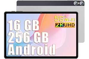 BIEGEDY Tablet 11 Pulgadas Pantalla 2K PC 16GB RAM + 256GB ROM + TF 1TB, Tableta Octa-Core 2.0 GHz /10000 mAh /8MP+20MP+2MP Macro/2000 * 1200 Pixels / 5G WiFi/Tapa Metálica Plata