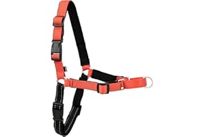 PetSafe Uprząż dla psa Easy Walk Deluxe, bez ciągnięcia, idealna do treningu smyczy i uprzęży, powstrzymuje zwierzęta przed ciągnięciem i zadławieniem się podczas spacerów, duża, różowa