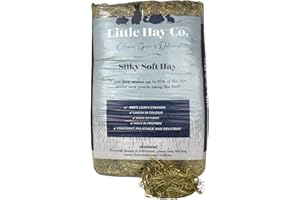 THE LITTLE HAY CO. Silky Soft Hay | Dust Extracted | 4kg Bale | Rabbits, Guinea Pigs, Hamsters, Degus