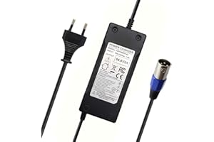 Abakoo Chargeur de batterie, 54,6 V 2 A, pour batterie 13S batteries, Li-ion 48 V, avec connecteur XLRM, pour vélo électrique, Ebike, skateboard