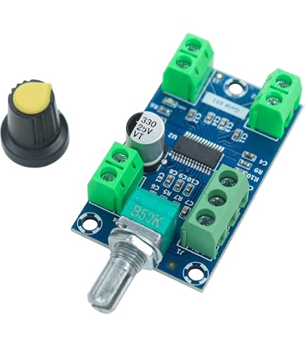FlyRobo HiFi AUX TPA3116 Xinyi Sini Audio 2 * 100W Digital Power