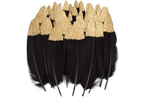 VIDILLO Plumes Colorées, 40pcs Or/argent rouge/Noir trempé Plume Décoration, Idéal Pour Costumes, Chapeaux, Décoration d'intérieur Fete Mariage Anniversaire, Multicolore (Feathers F)