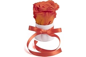 ‎ROSEMARIE SCHULZ HEIDELBERG ROSEMARIE SCHULZ Heidelberg Kleine Rosenbox weiß rund Infinity Rose - Blumenbox 1 echte Blume konserviert haltbar 3 Jahre Höhe ca. 8 cm - keines Geschenk für Frauen (Weiß-Orange)